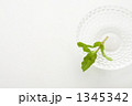 ミントと硝子の小皿俯瞰