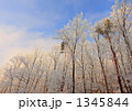 1345844