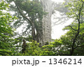 1346214