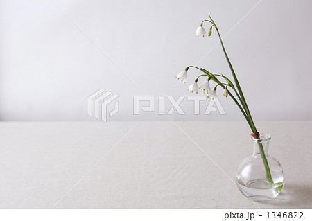花瓶 鈴蘭水仙 花