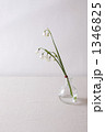 花瓶 鈴蘭水仙 花