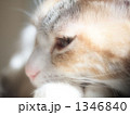 1346840