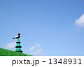 青空と鳥
