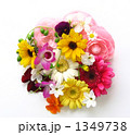 花夢色　春～初夏