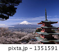 桜咲く富士