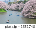 千鳥ヶ淵の桜