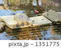 1351775