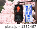 信号機～春 2
