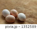 1352589
