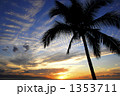 椰子の木と夕焼け
