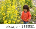 1355581
