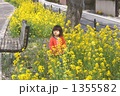 1355582