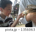 食べて！おいしいよ
