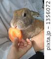 うさちゃん　食べて