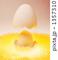 1357310