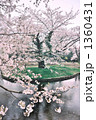 桜2 桜2