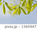 1360947