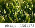 1361178