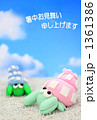 夏イメージやどかり