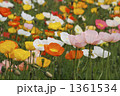 1361534