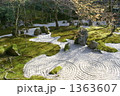 苔むす枯山水の庭