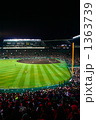 阪神甲子園球場ナイトゲーム