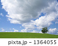 1364055