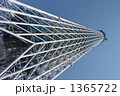 春の青空に聳える東京スカイツリー（工事中349m）