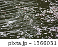 花いかだ
