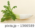 葉付き大根