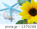 夏イメージ