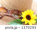 夏イメージ