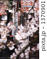 素材ナンバー 1370901 : 「桜のある田舎町」