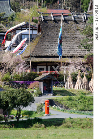 美山の鯉のぼり