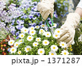 1371287