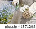 1371298