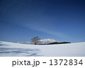 冬の小岩井農場の一本桜と岩手山