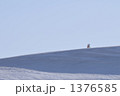 1376585