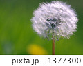 1377300