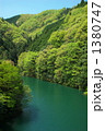 入り江の新緑ー２