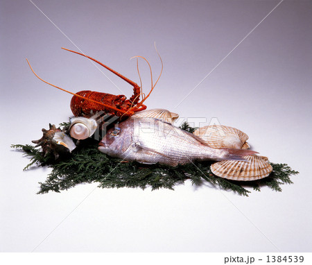 「鮮魚」の写真素材 「鮮魚」の写真素材