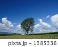 1385336