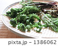 山の恵み