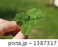 1387317