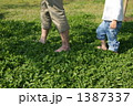 裸足で散歩