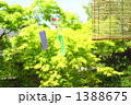 ゆれるガラスの風鈴とスダレのある庭　２　風鈴２個