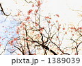 1389039