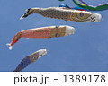 鯉のぼり