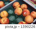 露店のアプリコット