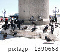ベネチアで憩う鳩